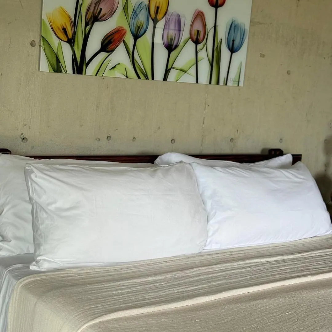 The Serene House Bed & Breakfast 루키요 푸에르토리코