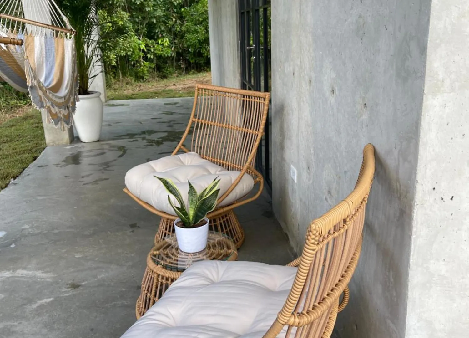 The Serene House Bed & Breakfast 루키요 푸에르토리코