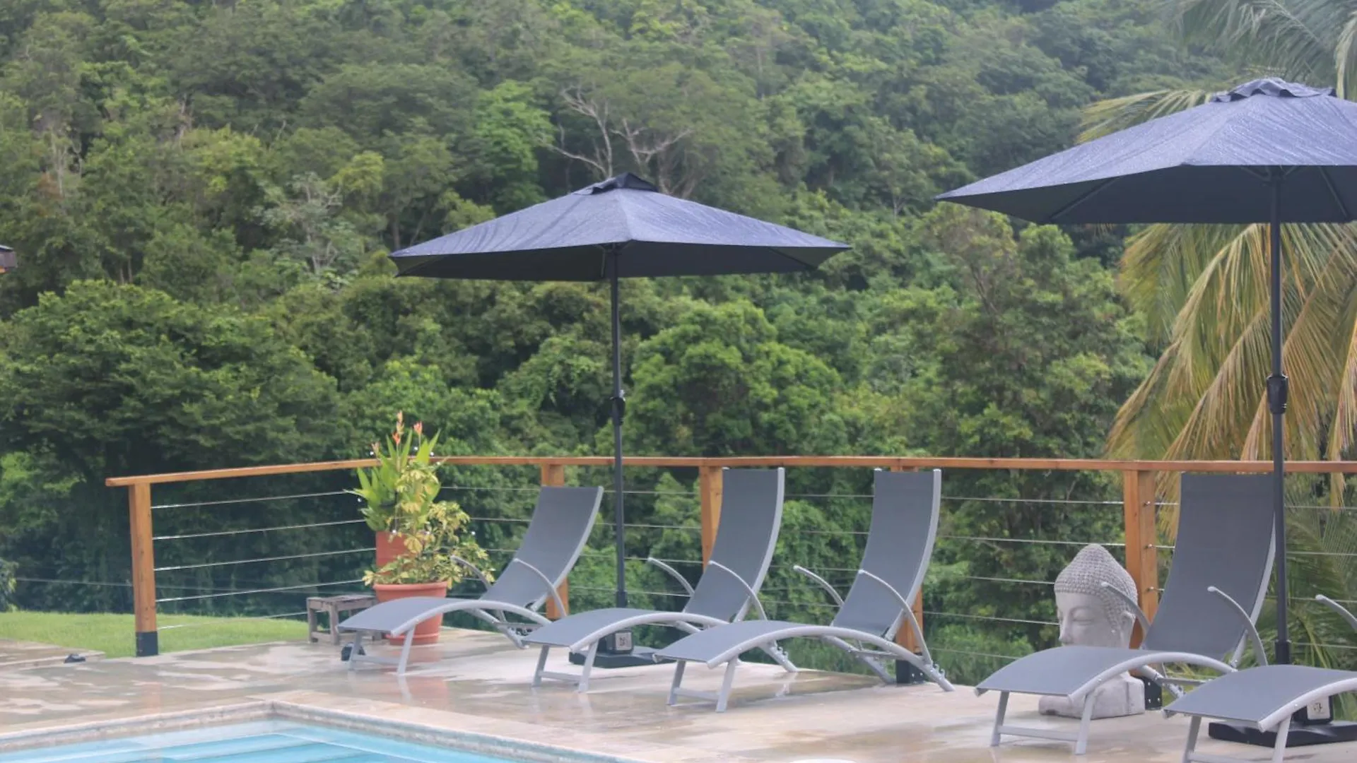 The Serene House Bed & Breakfast 루키요