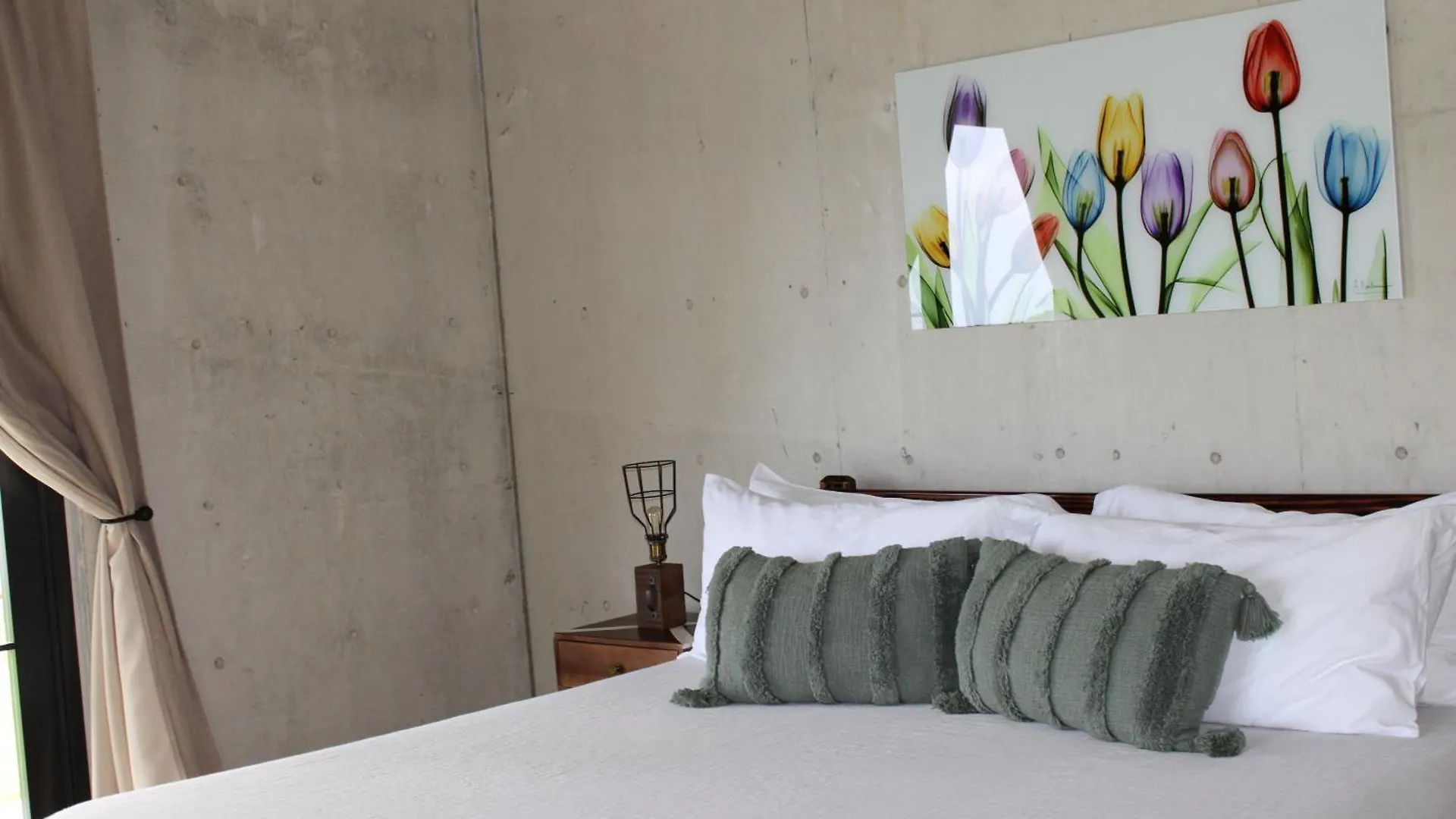 The Serene House Bed & Breakfast 루키요 푸에르토리코