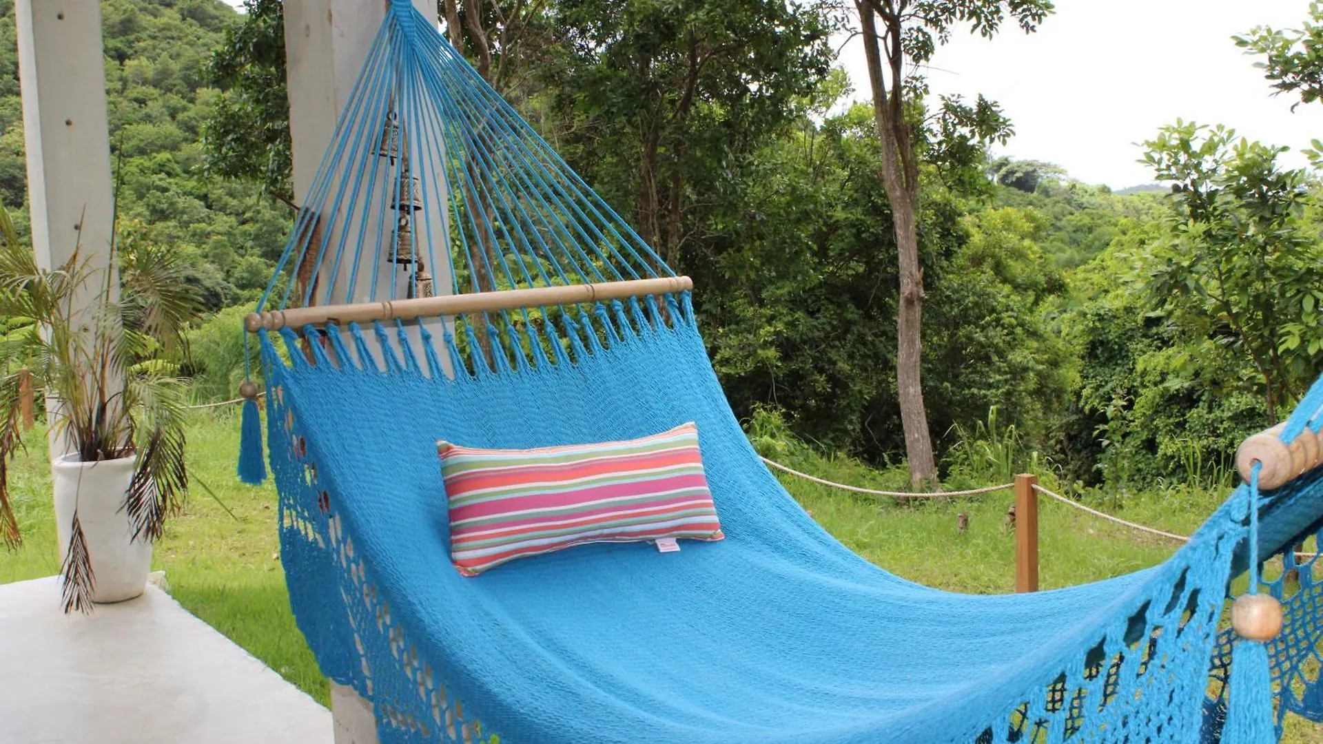 The Serene House Bed & Breakfast 루키요 푸에르토리코
