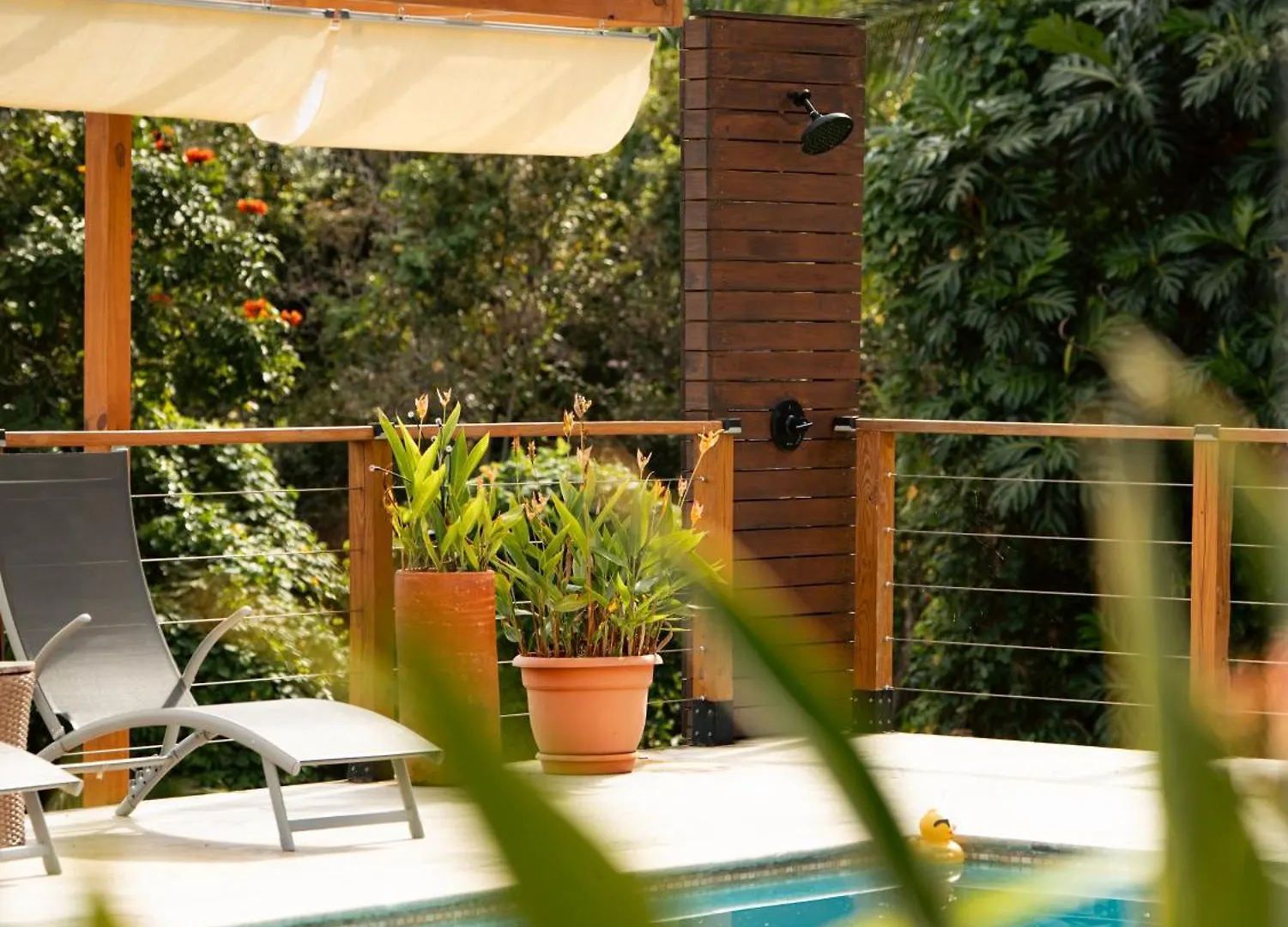 The Serene House Bed & Breakfast 루키요 푸에르토리코