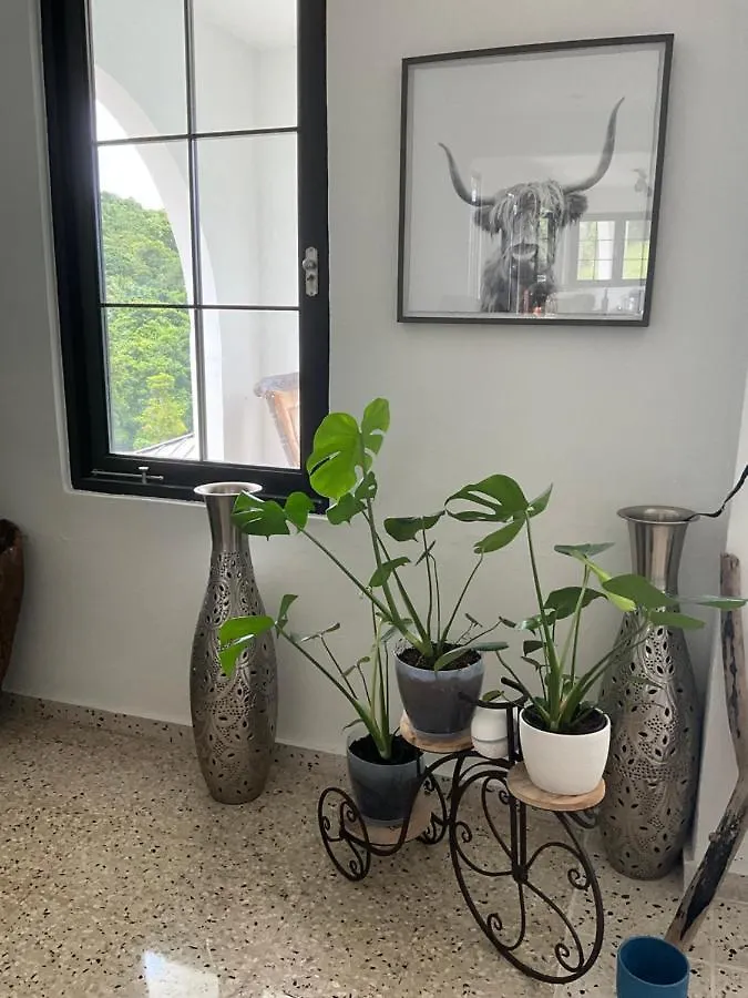 The Serene House Bed & Breakfast Luquillo